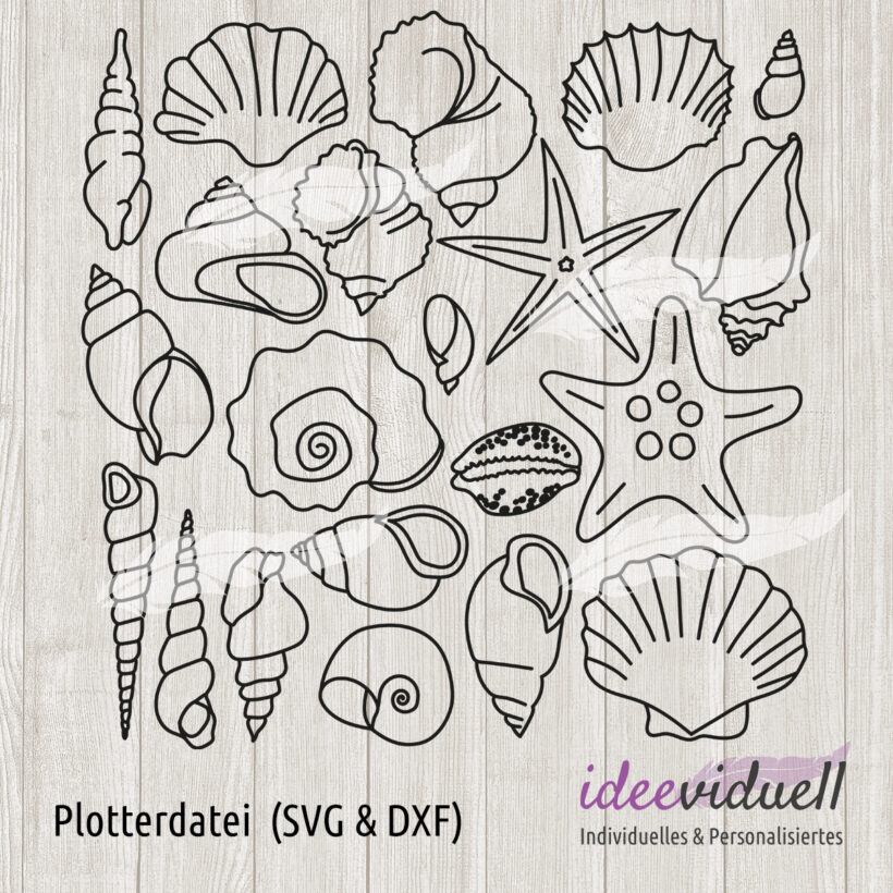 Plotterdatei Muscheln ideeviduell